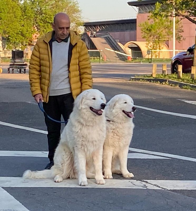 Mirto e Faleria all'European Dogshow - Parigi