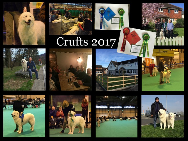 Ricordi del nostro viaggio al Crufts dogshow, Marzo 2017