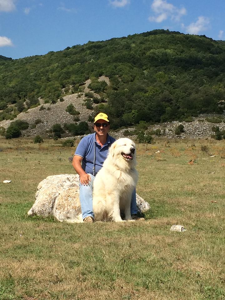 Allevamento del Montelarco - Cane da Pastore Maremmano Abruzzese